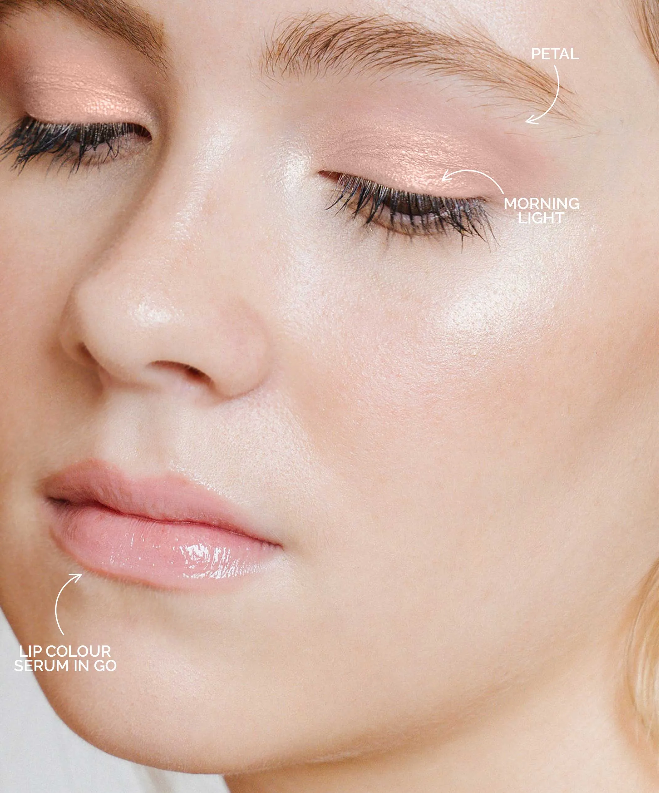 Multi-Use Pressed Shadow   Blush Colour