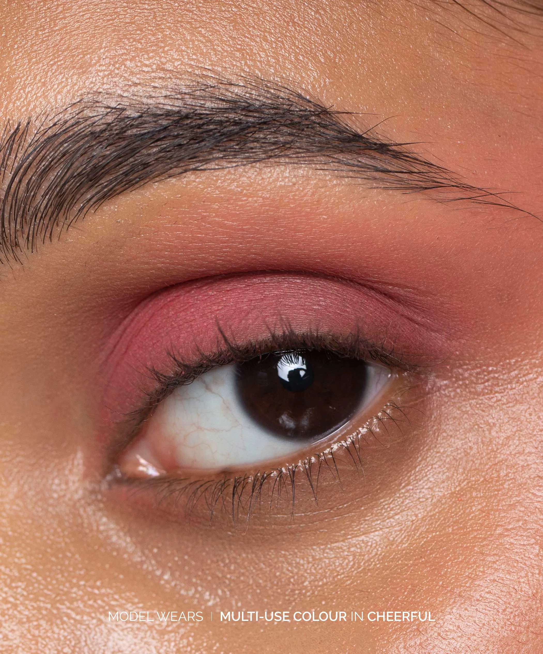 Multi-Use Pressed Shadow   Blush Colour