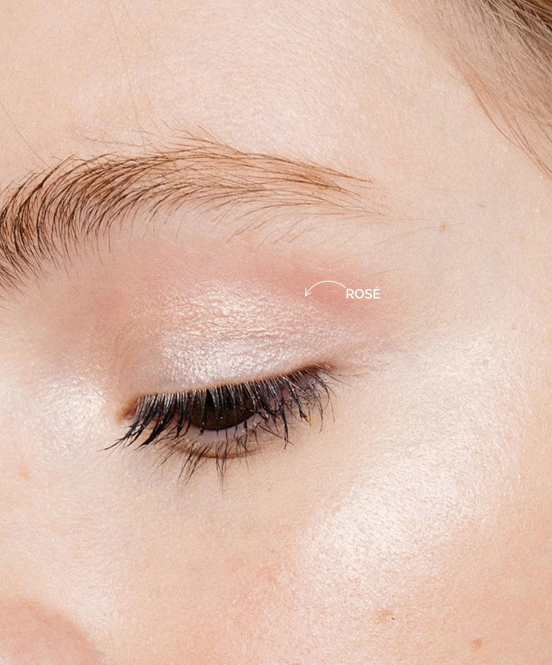 Multi-Use Pressed Shadow   Blush Colour