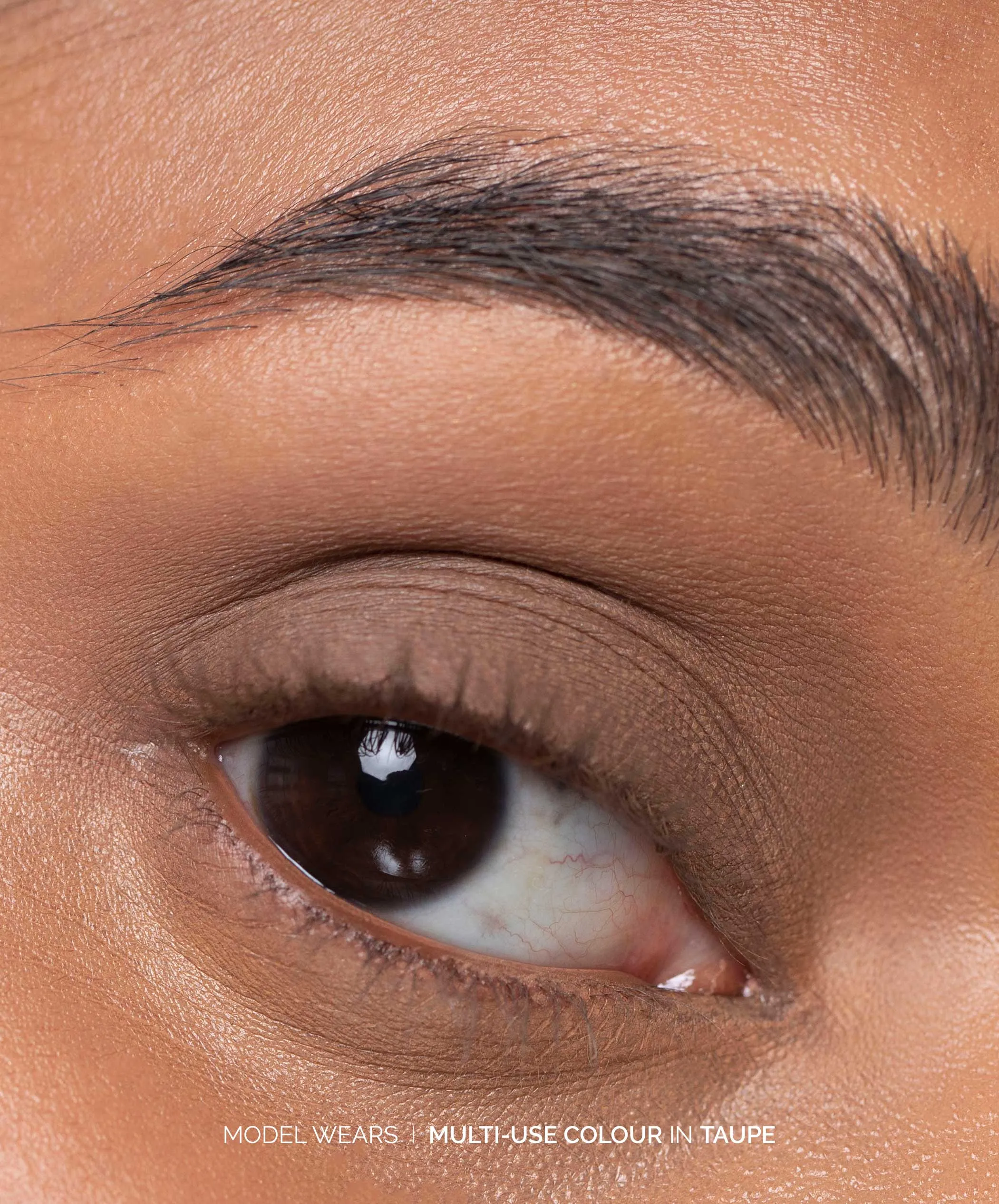 Multi-Use Pressed Shadow   Blush Colour