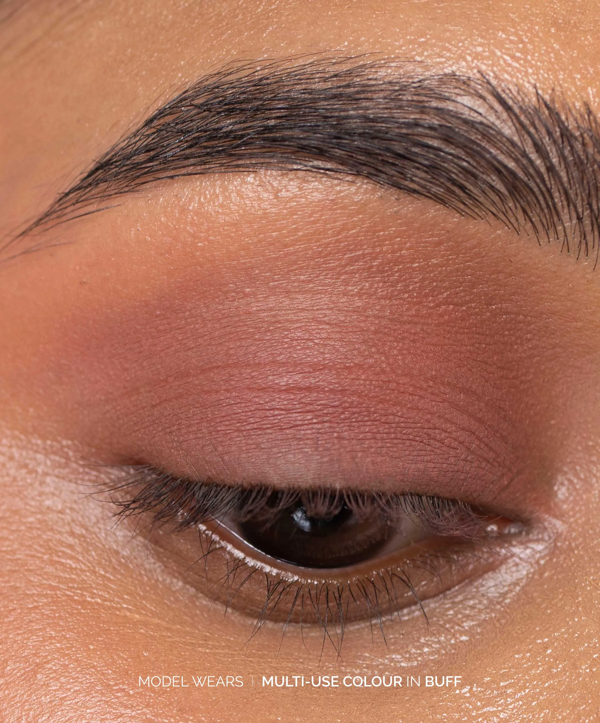Multi-Use Pressed Shadow   Blush Colour