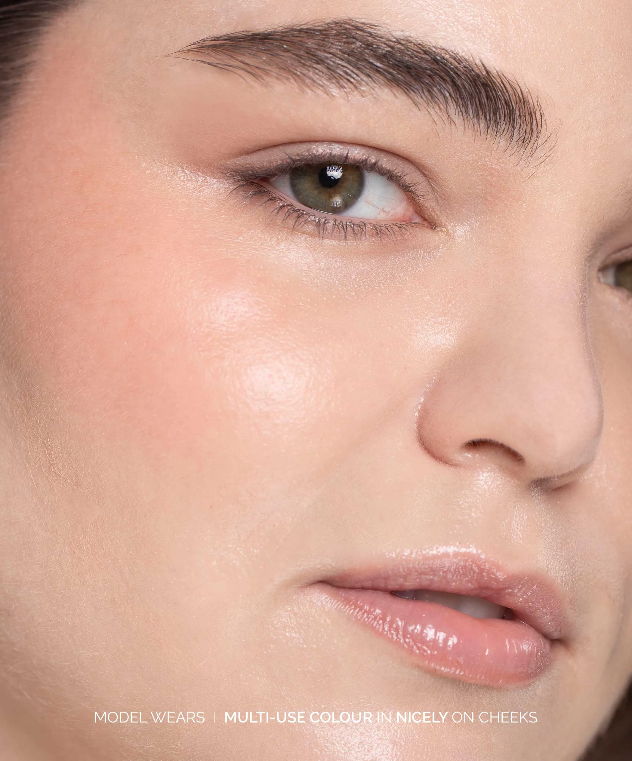 Multi-Use Pressed Shadow   Blush Colour