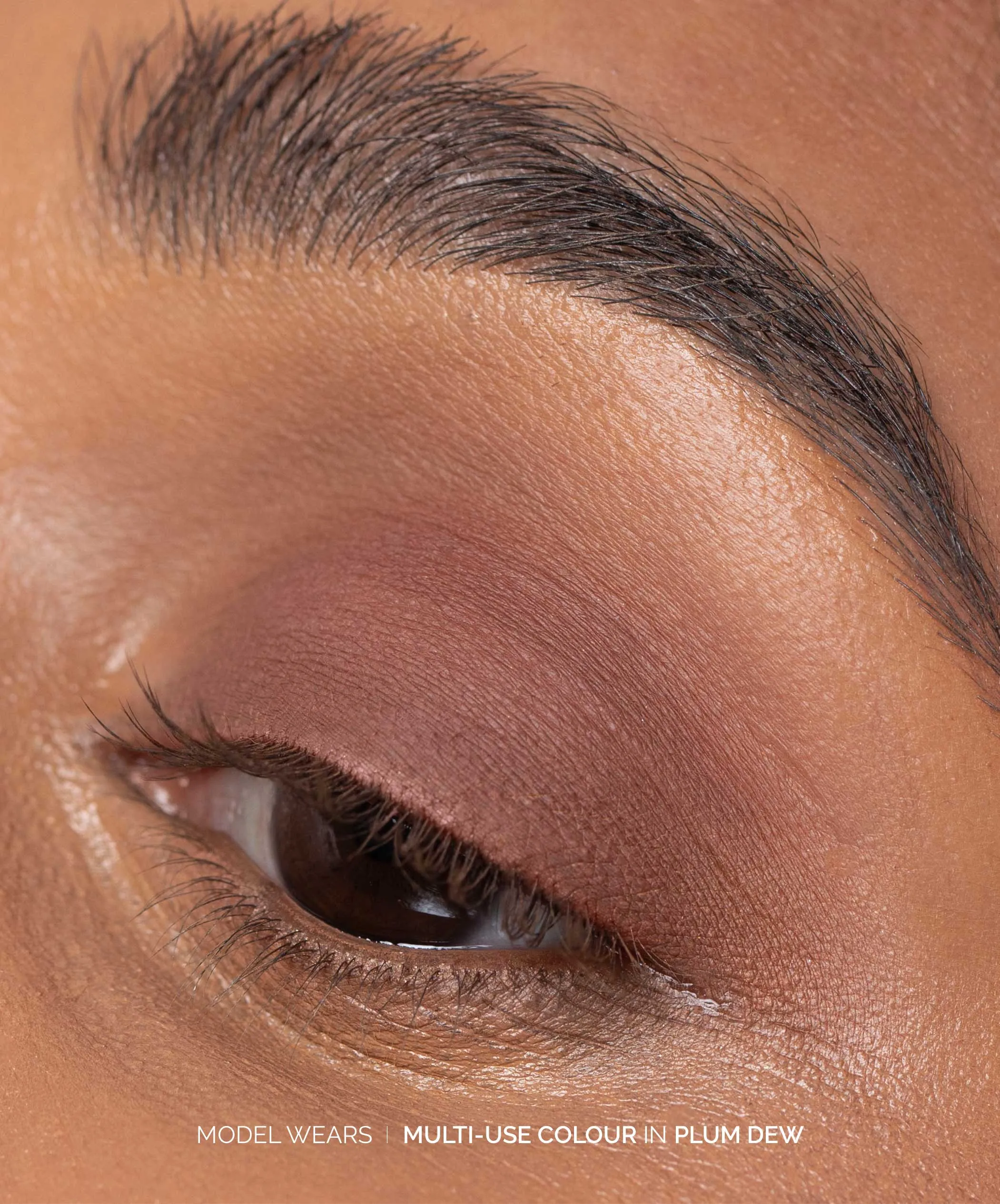 Multi-Use Pressed Shadow   Blush Colour