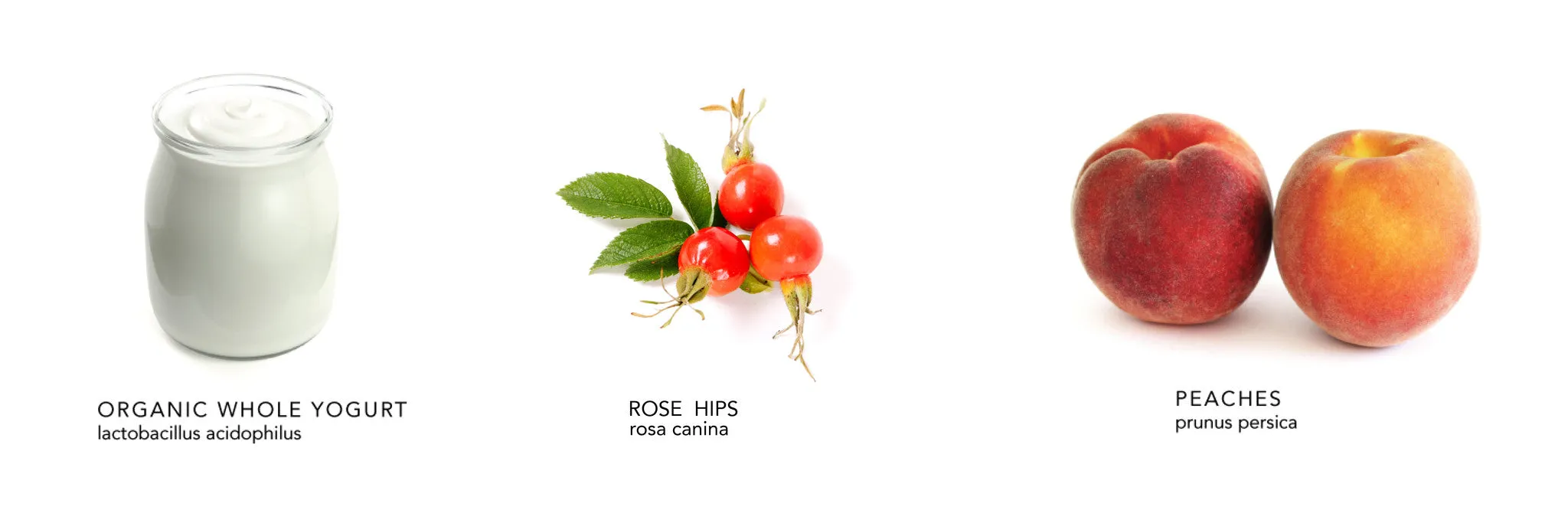 PEACHES & CREAM MASQUE (hydrating)