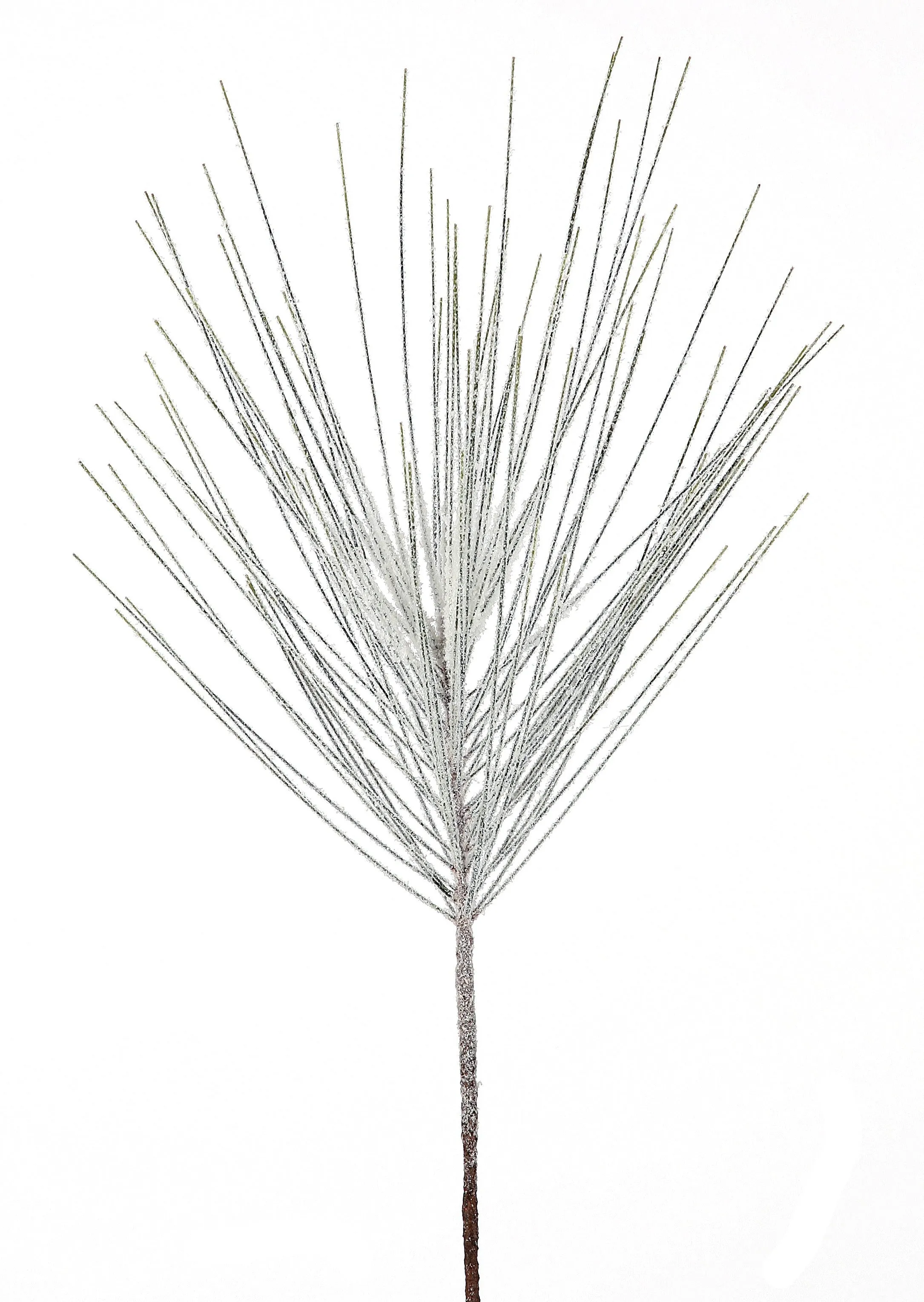 Snow Long Needle Spray